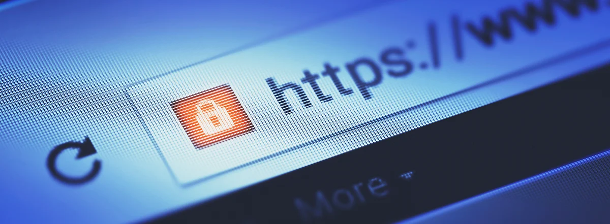 这个网站安全吗？你完整的网站安全检查指南 - 标题图